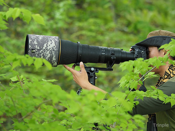 Koji Nakano User Report