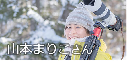 写真家 山本まりこ