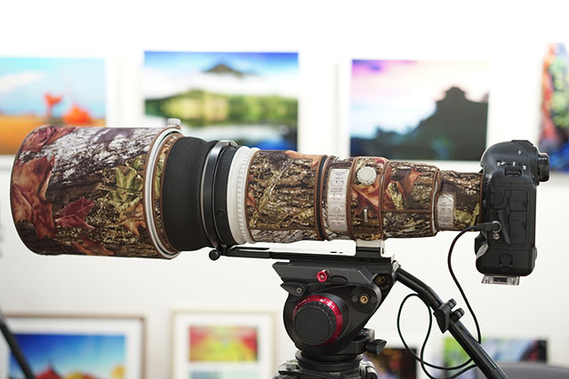 キヤノン  EF 600mm F4L IS II USM